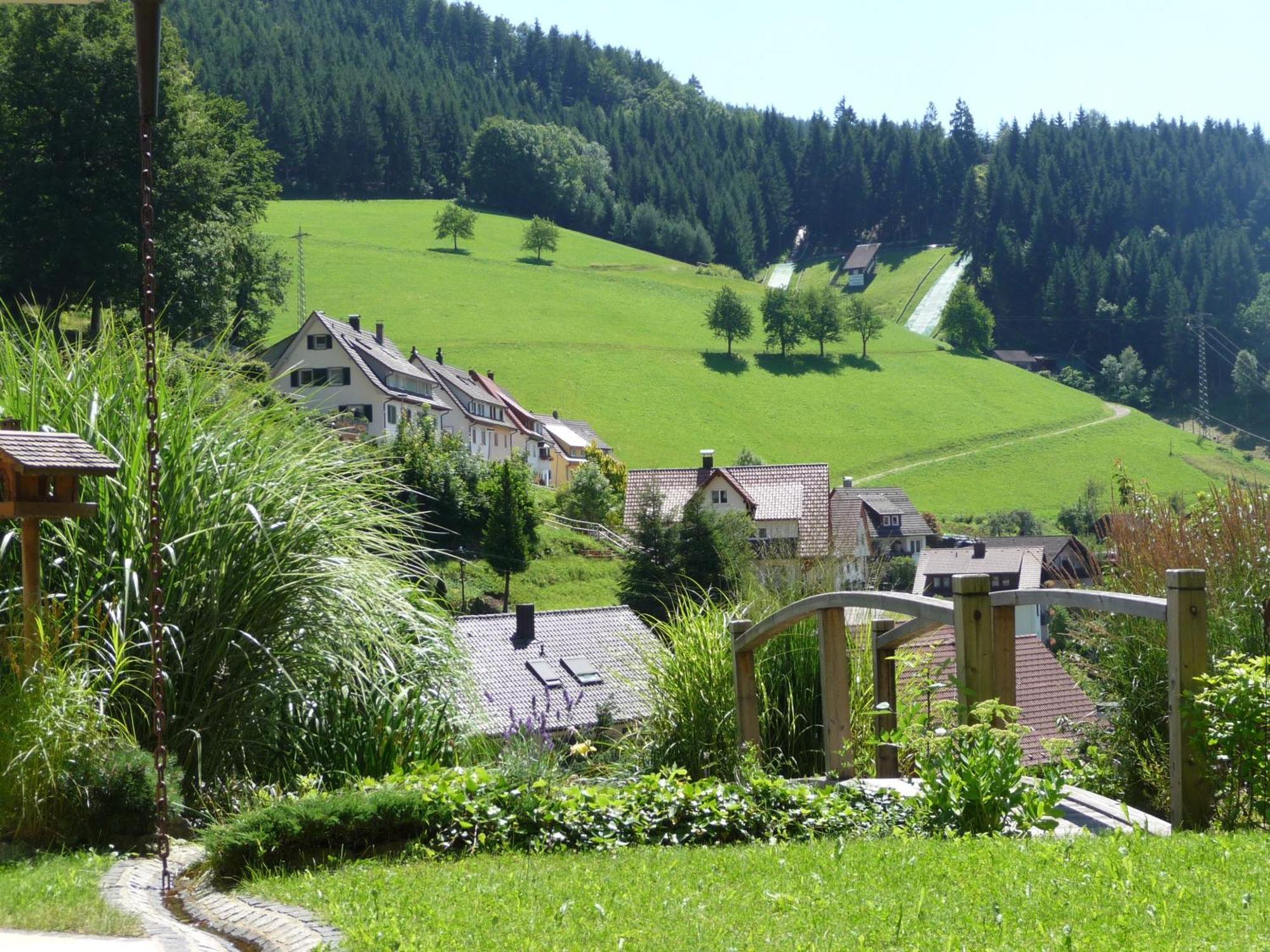 Flair Hotel Adlerbad Bad Peterstal-Griesbach Esterno foto
