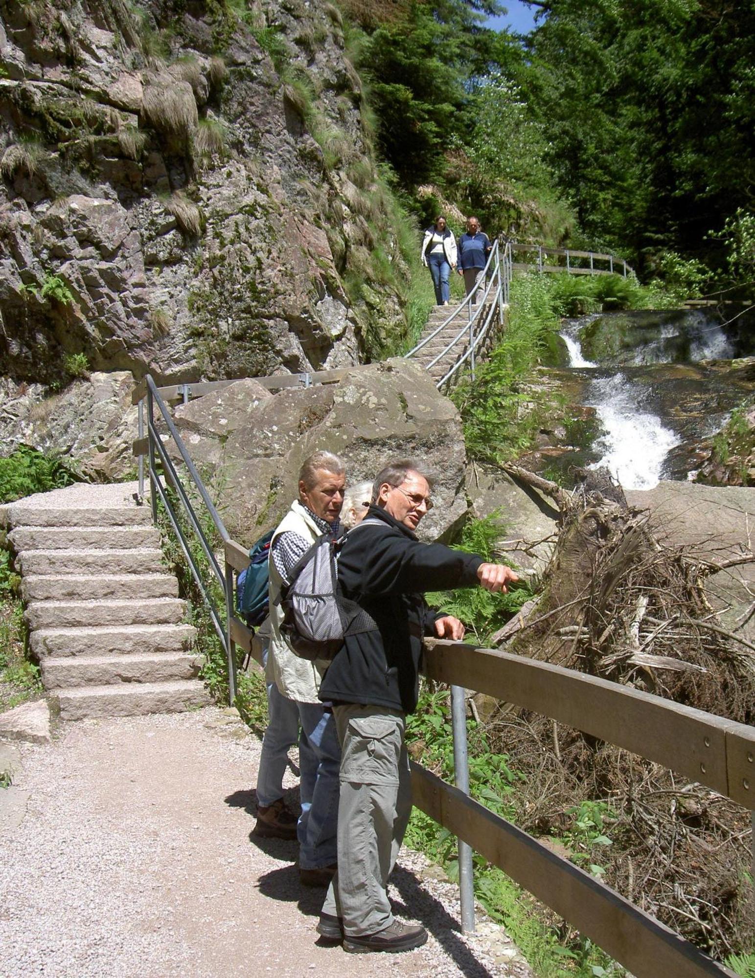 Flair Hotel Adlerbad Bad Peterstal-Griesbach Esterno foto
